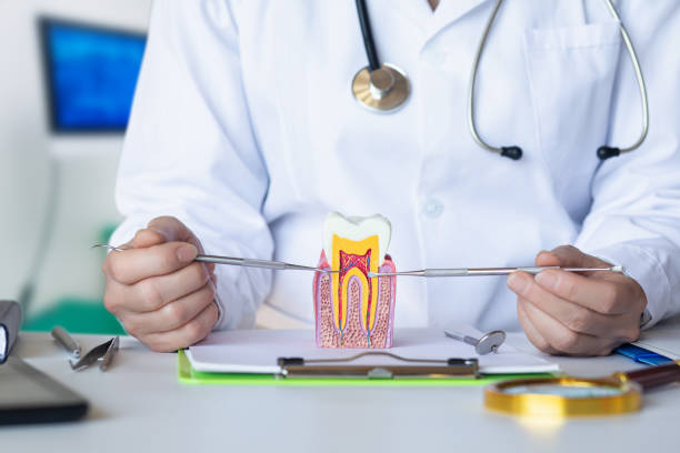 Best Emergency Dental Care for Trauma or Injury in Sherrill, NY